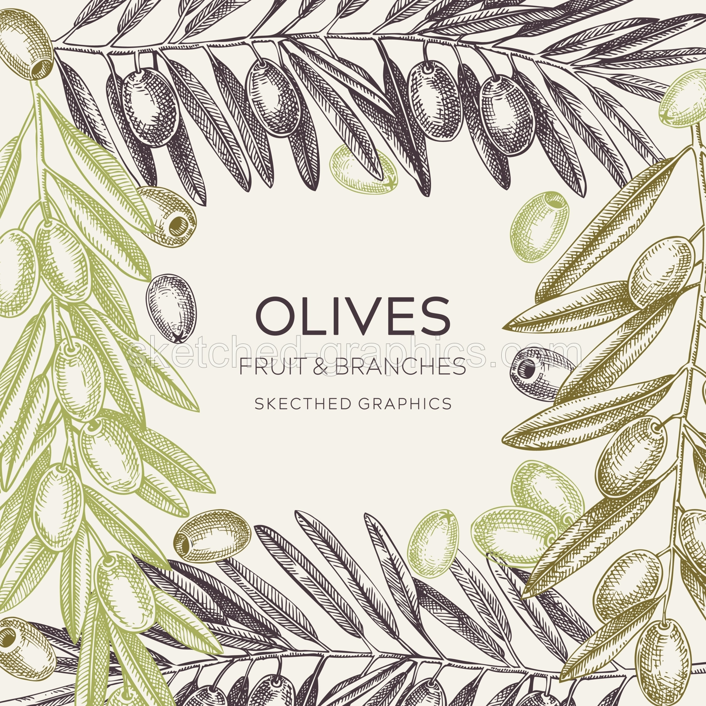 Olive Branch Frame Design Illustration